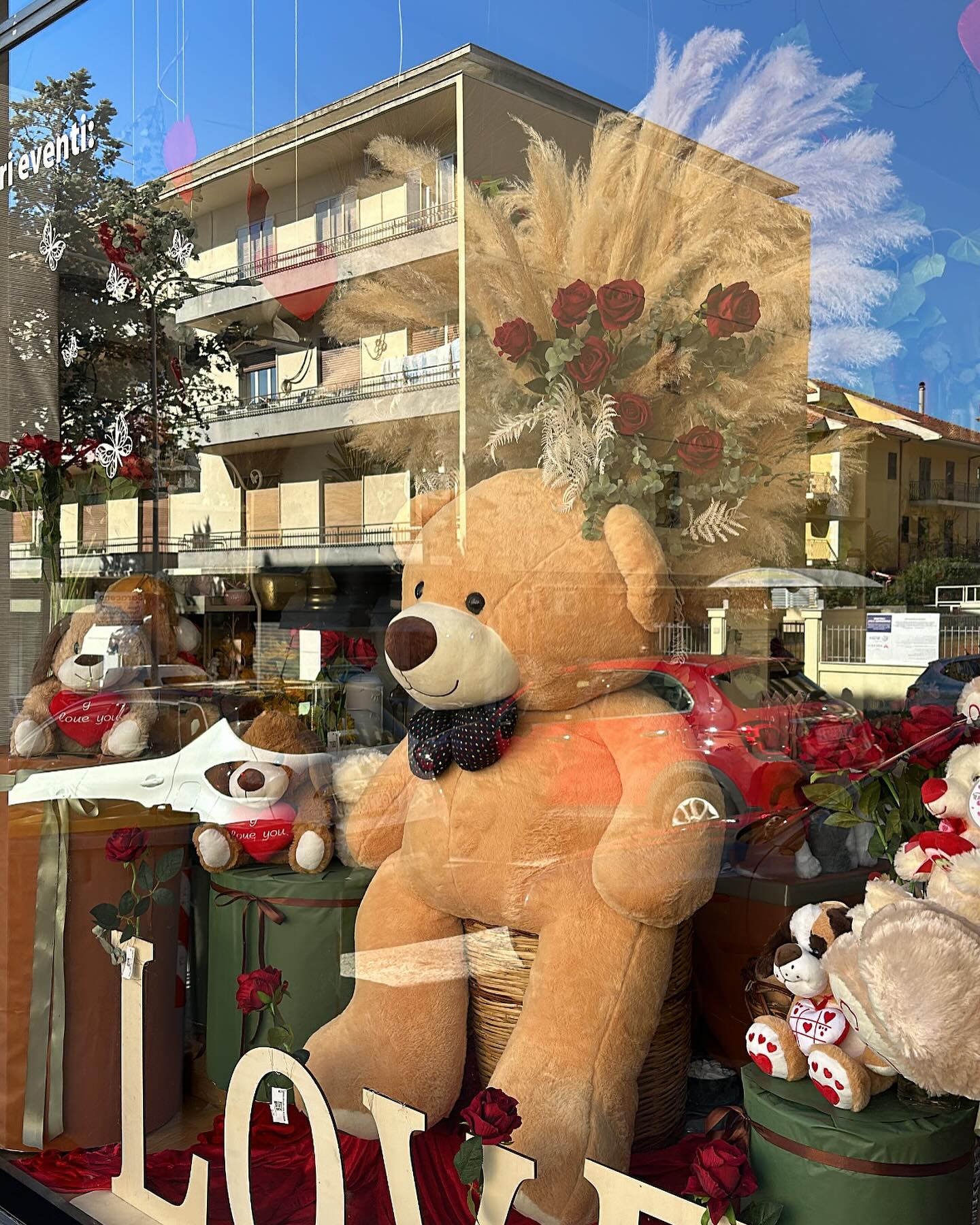 Foto 21