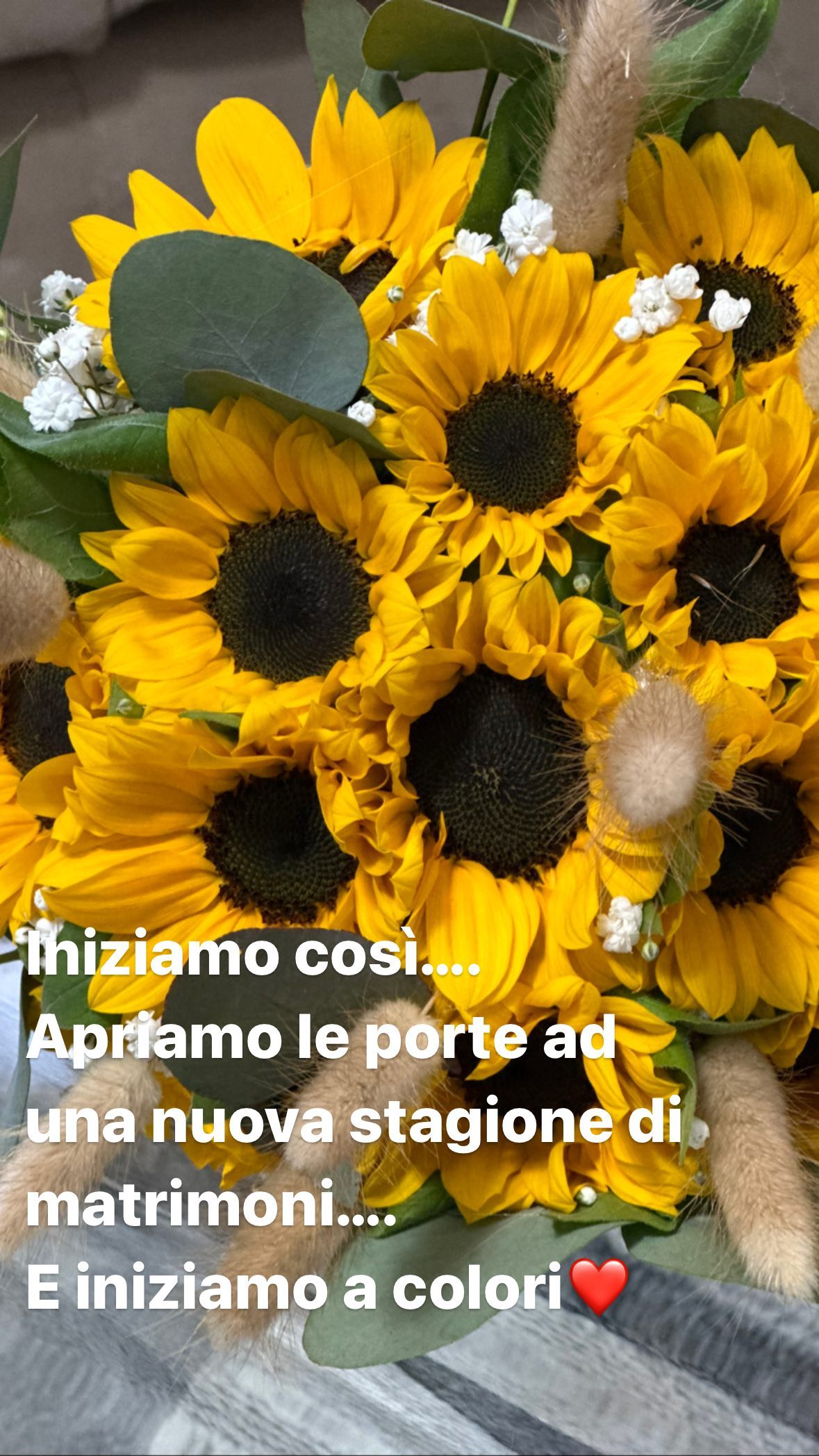Foto 119