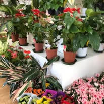 Foto 18