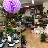 Foto 19