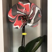 Foto 20