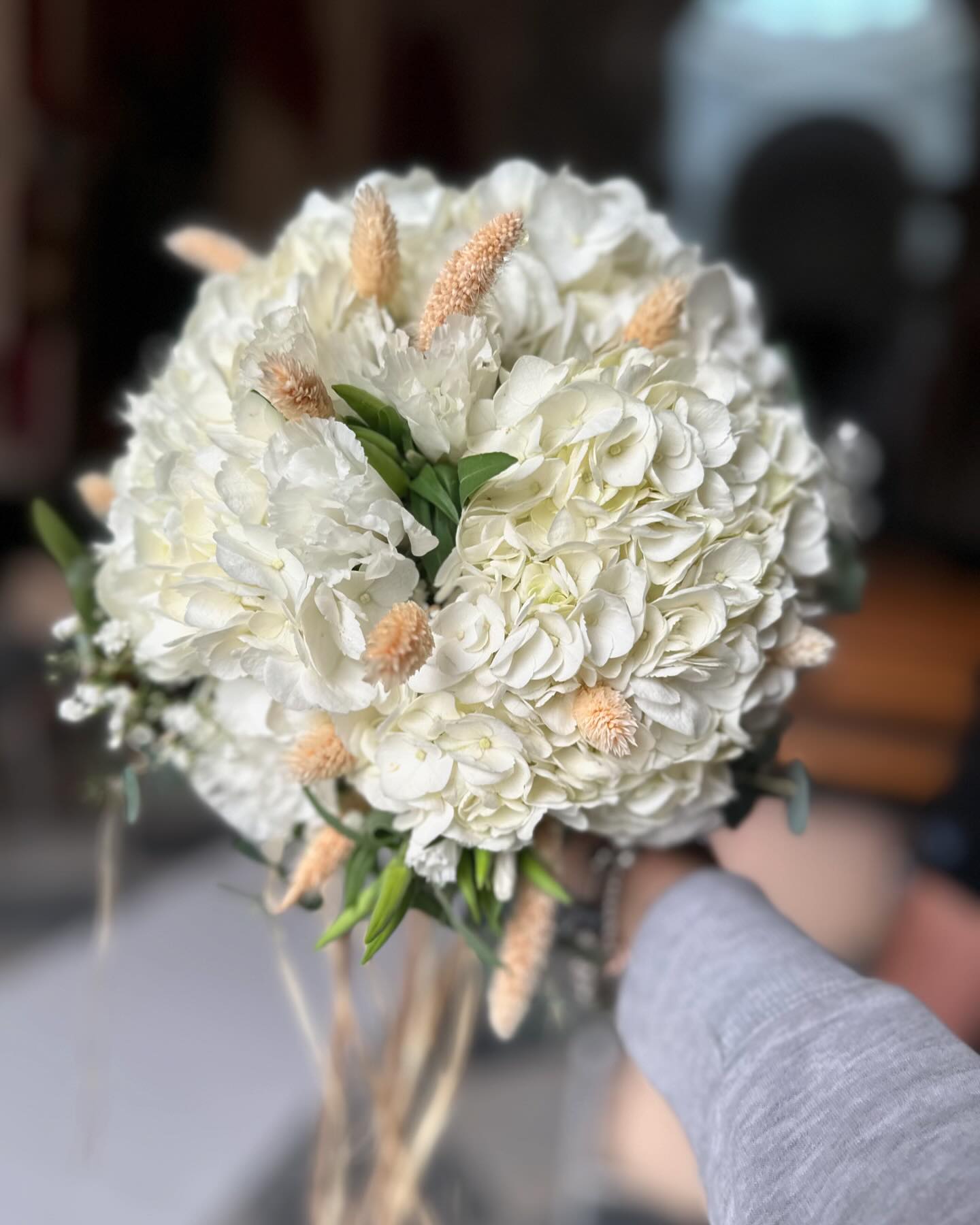 Foto 26