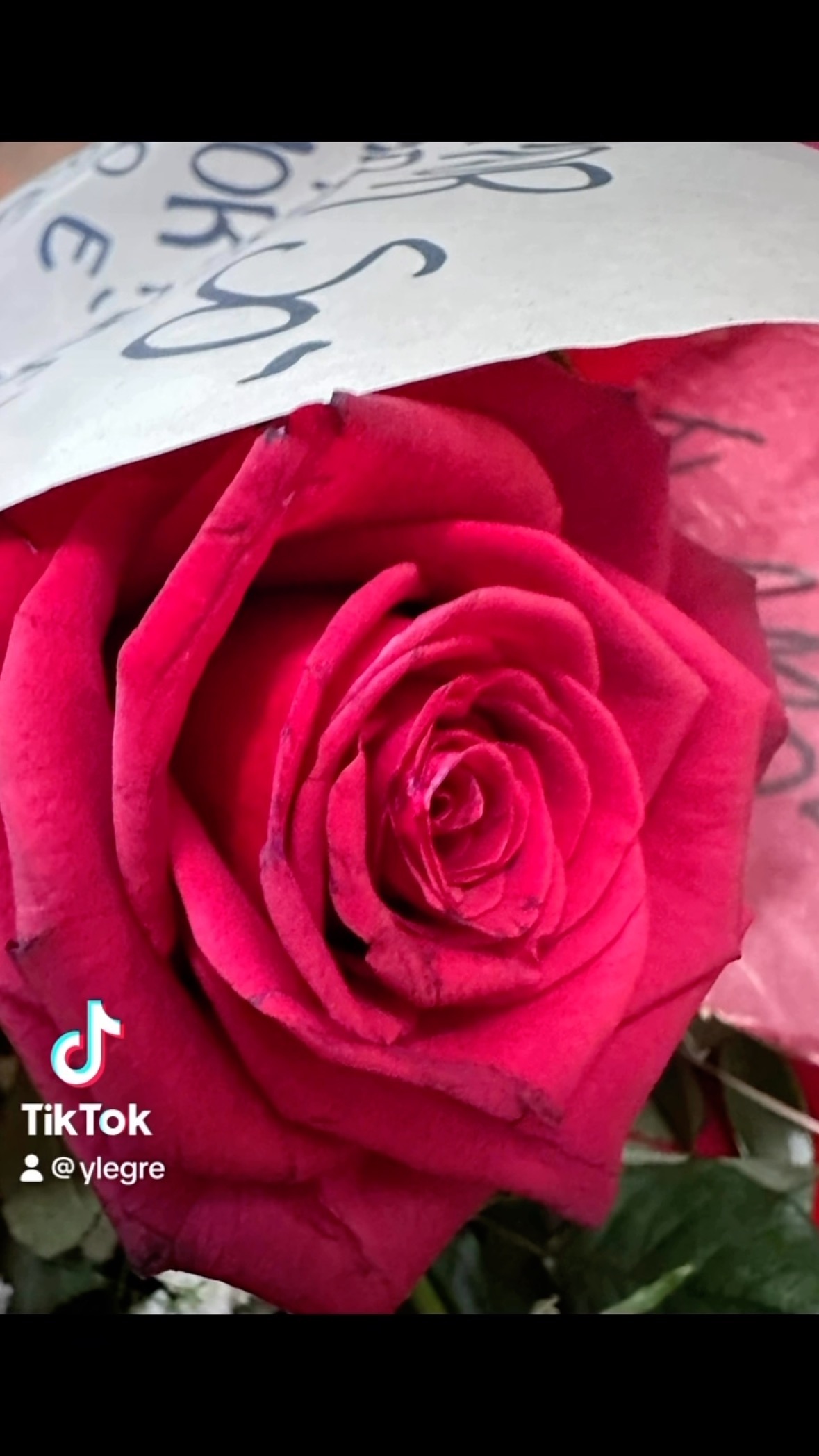 Foto 37