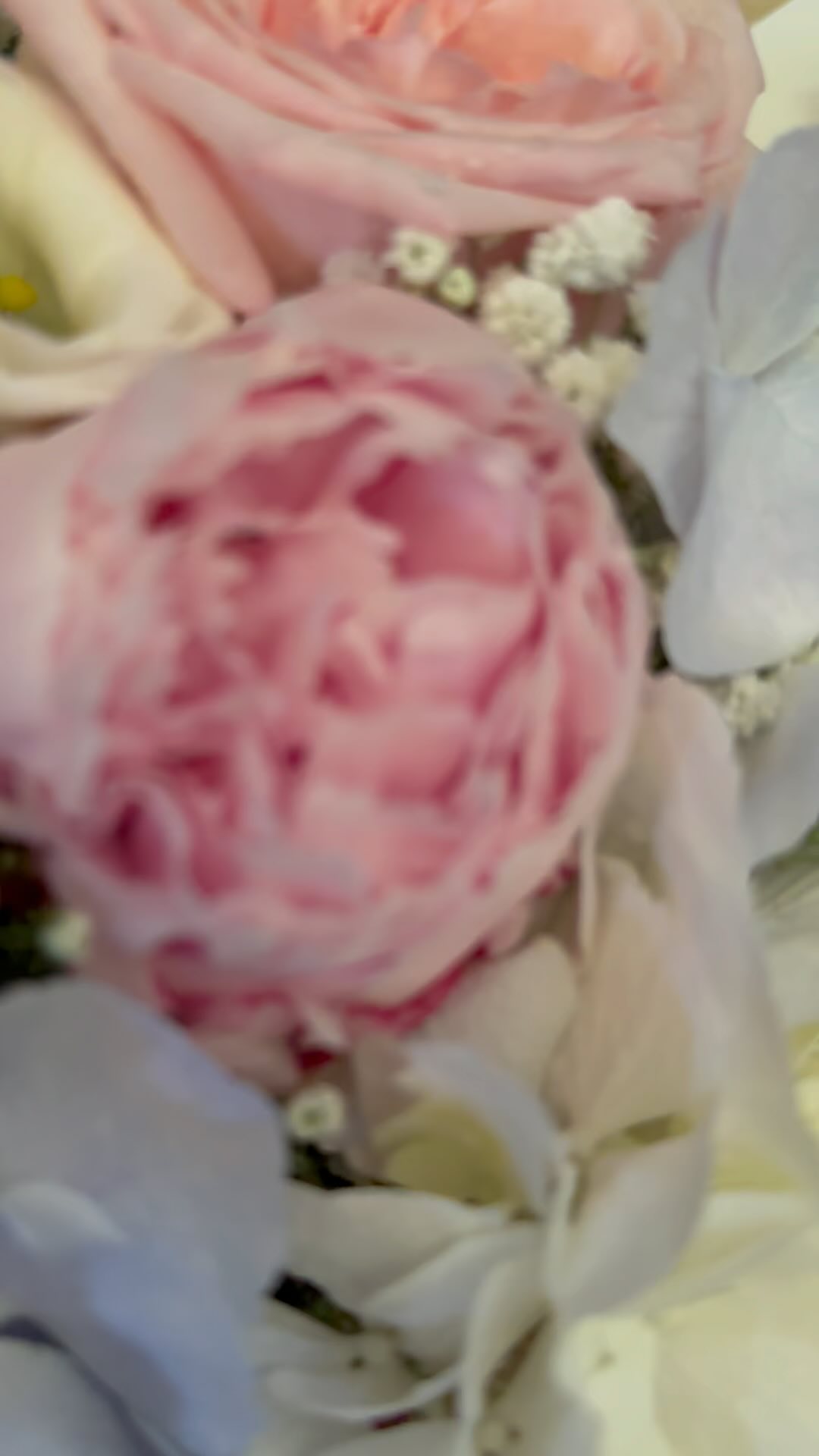 Foto 42