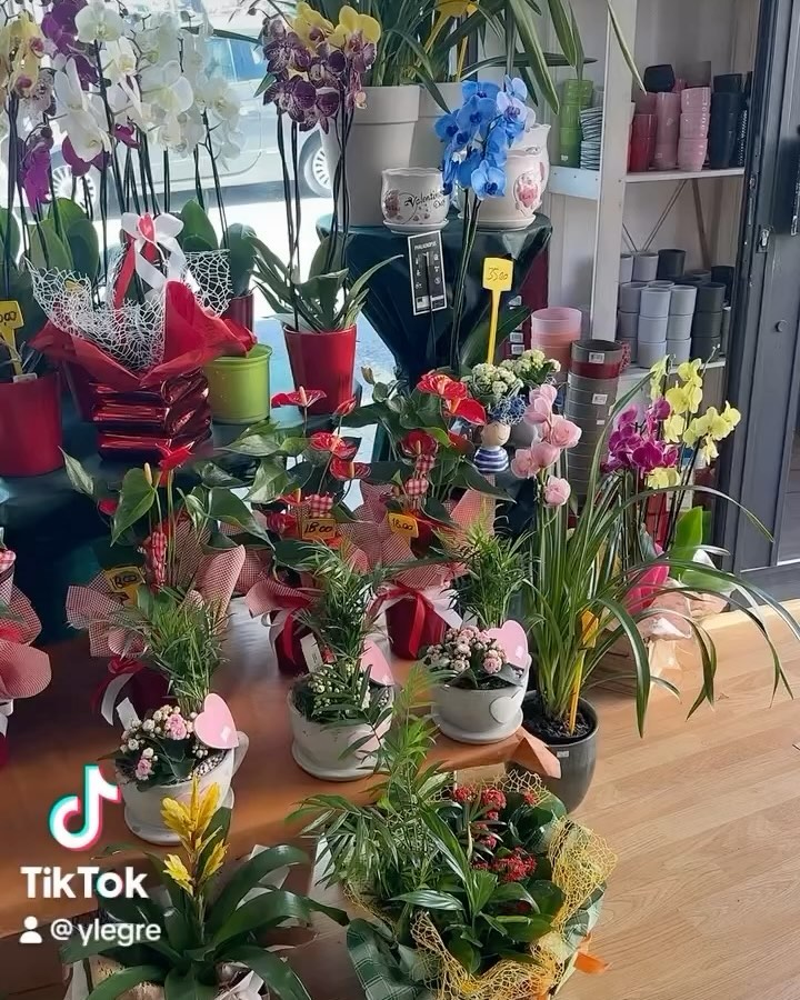 Foto 46