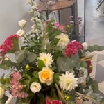 Foto 50